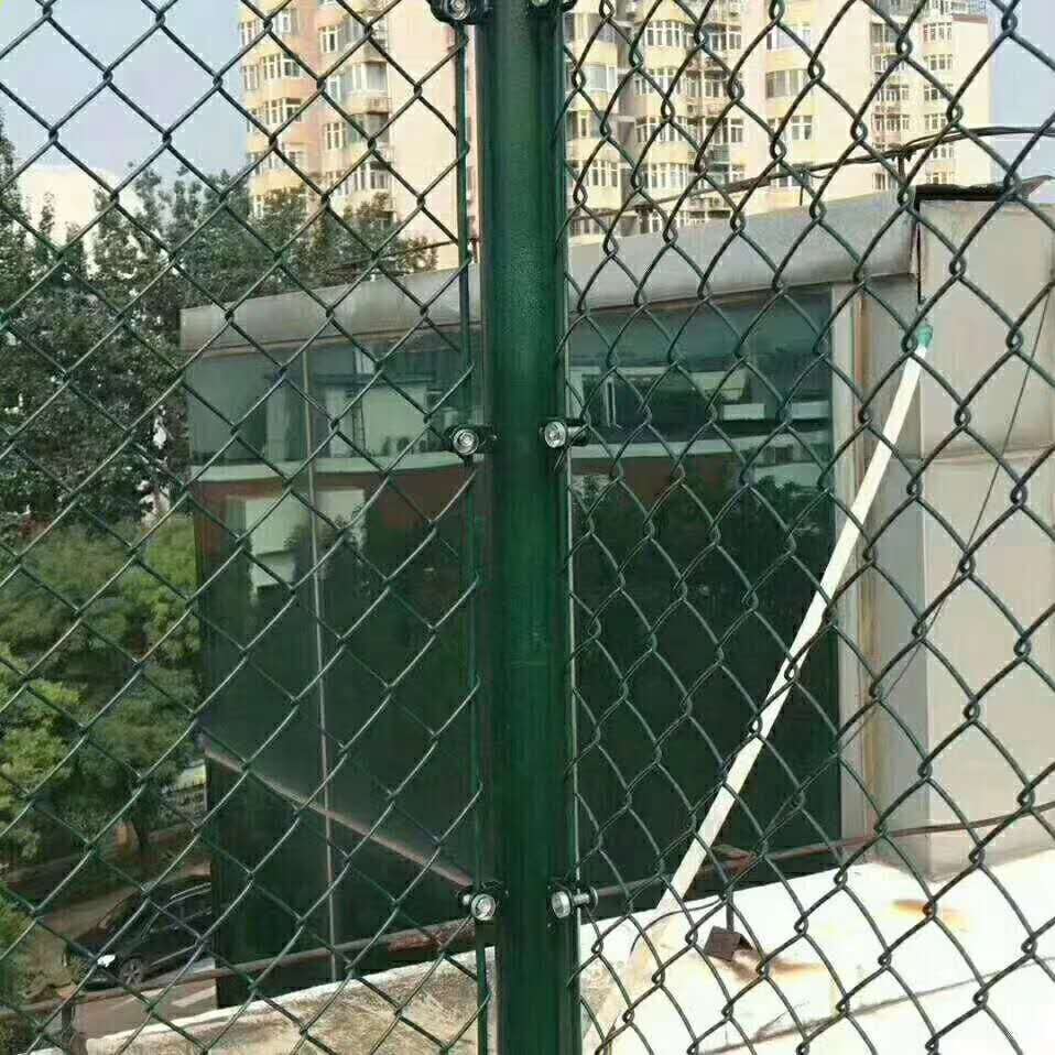 排球圍欄網廠家圖片5